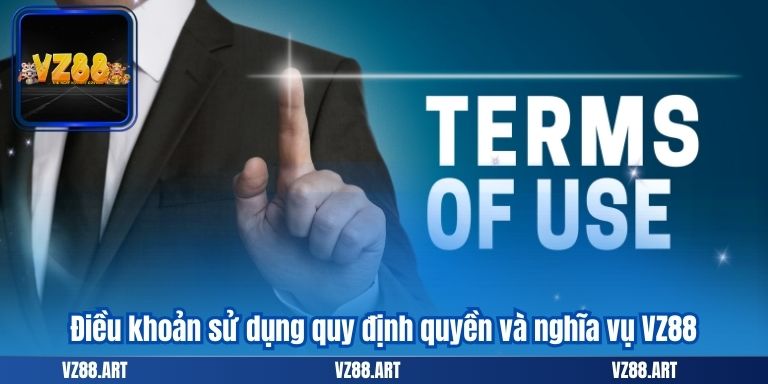 Điều khoản sử dụng quy định quyền và nghĩa vụ VZ88