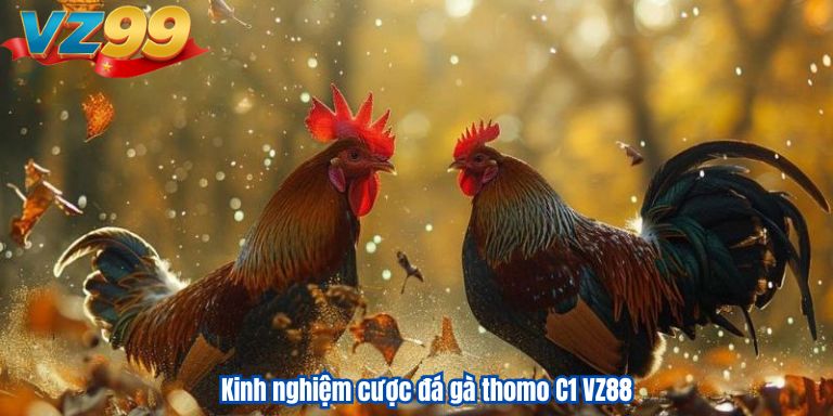 Kinh nghiệm cược đá gà thomo C1 VZ88