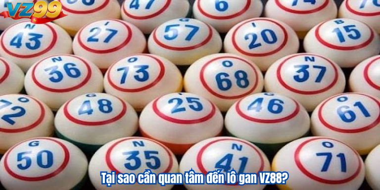Tại sao cần quan tâm đến lô gan VZ88?